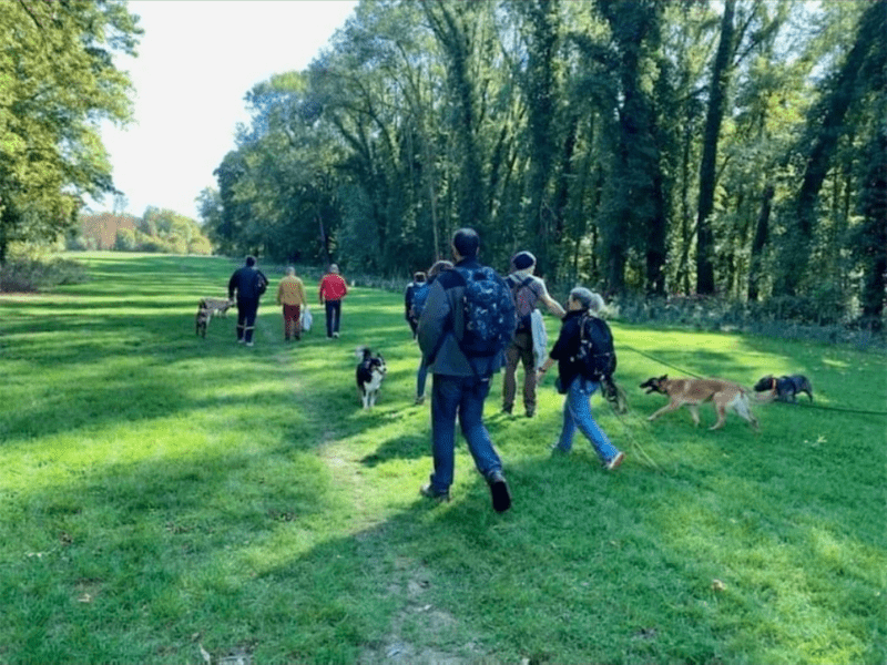 atelier collectif chiens cynopassion