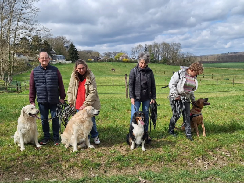 cynopassion- vos chiens nos stars promenade collective aisne oise