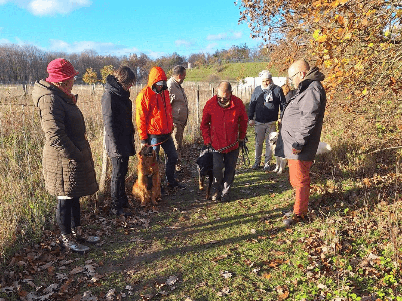 groupe cani rando aisne cynopassion groupe cani rando aisne cynopassion