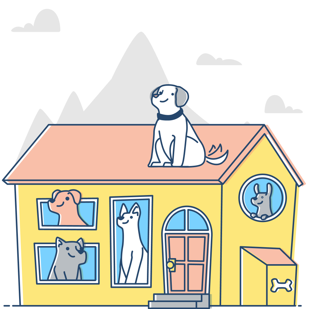 pet-trainer-illustration-06@2x pet trainer illustration