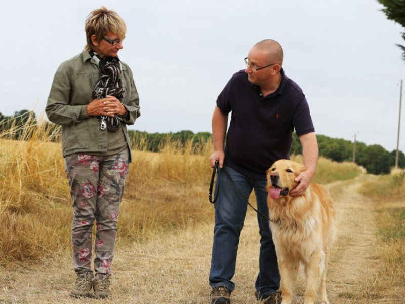 vos animaux nos stars chez cynopassion séances en campagne